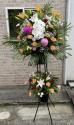 �t�H�g�M�������[�摜