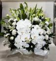 �t�H�g�M�������[�摜