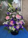 �t�H�g�M�������[�摜