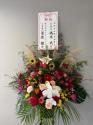 tHgM[摜