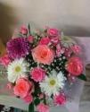�t�H�g�M�������[�摜
