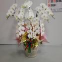 tHgM[摜