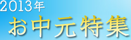 ���������W�@2013�N