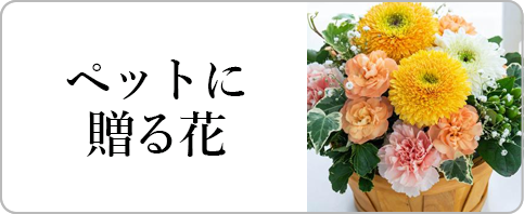 ペットのお供え・お悔やみの花