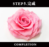 STEP5.����