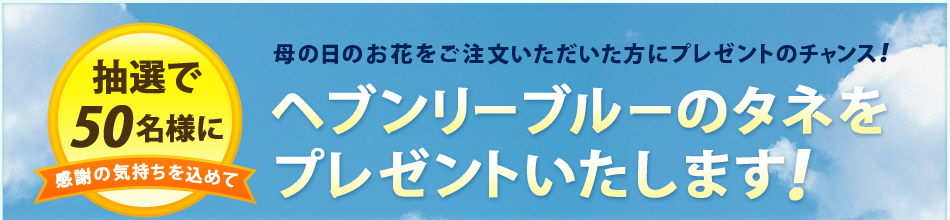 ��̓��̂��Ԃ��������������������Ƀv���[���g�̃`�����X�I���I��50���l�Ɋ��ӂ̋C���������߂ăw�u�����[�u���[�̃^�l���v���[���g�������܂��I