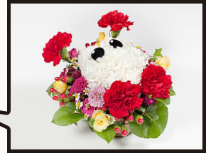 �t�����[�o�{����񑤖ʎʐ^