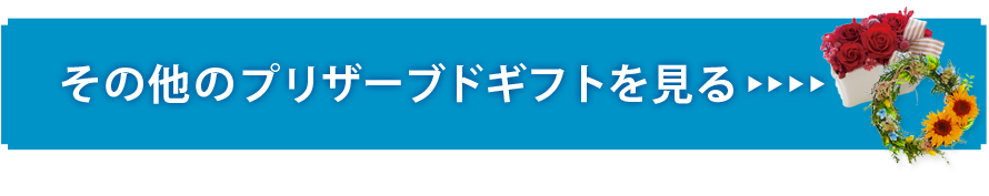 ̑̃vU[uhMtg