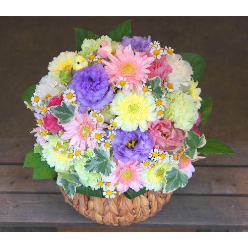 ペットのお供え お悔やみ パステルメモリアル L 花屋 ｈａｎａｔｏｓｈｉ のオリジナル商品 フラワーギフトはプロのお花屋さんにおまかせ フジテレビフラワーネット