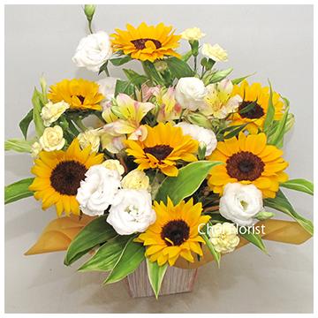 花通販Happyｶﾞｲﾄﾞ | 誕生花一覧365日･花言葉（各月･各日）【2025年版】花通販Happyｶﾞｲﾄﾞ