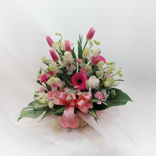 春花 チューリップ をあしらったピンクアレンジメント 愛の芽生え 花屋 花ぽかぽか のオリジナル商品 フラワーギフトはプロのお花屋さんにおまかせ フジテレビフラワーネット
