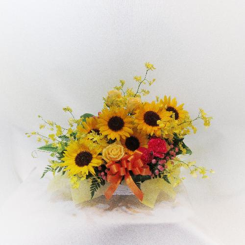 スタイリッシュ 彡ひまわりアレンジメント ダンシングイエロー 花屋 花ぽかぽか のオリジナル商品 フラワーギフトはプロのお花屋さんにおまかせ フジテレビフラワーネット スタイリッシュ 彡ひまわりアレンジメント ダンシングイエロー 花屋 花ぽかぽか のオリジナル商品 フラワーギフトはプロのお花屋さんにおまかせ フジテレビフラワーネット