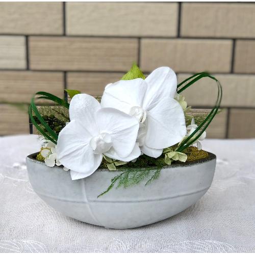 プリザーブドフラワー 胡蝶蘭アレンジ」| 花屋「Apertio Floris(アペル