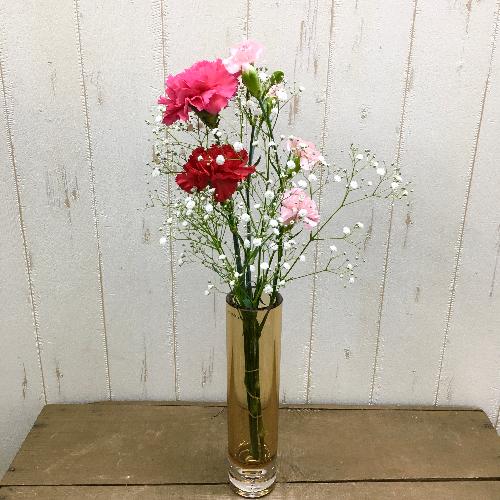 カーネーションミックスブーケ 割れない花瓶付 ブラウン 花屋 フラワーショップ オリーブ八事店 のオリジナル商品 フラワーギフトはプロのお花屋さんにおまかせ フジテレビフラワーネット カーネーションミックスブーケ 割れない花瓶付 ブラウン 花屋 フラワーショップ オリーブ八事店 のオリジナル商品 フラワーギフトはプロのお花屋さんにおまかせ フジテレビフラワーネット