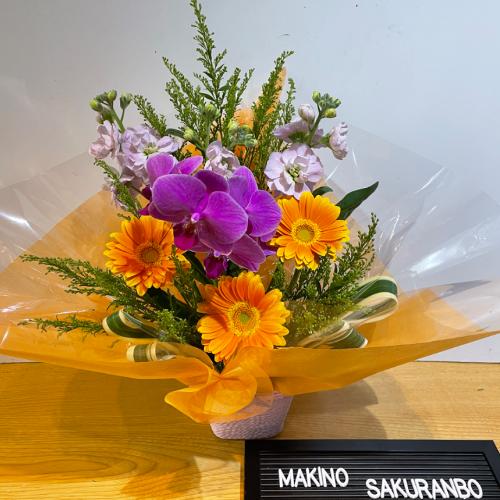 長持ち！胡蝶蘭とオレンジのガーベラのアレンジメント」| 花屋「牧野