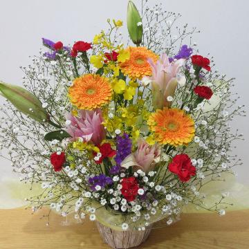 花通販Happyｶﾞｲﾄﾞ | 6月の誕生花一覧 |誕生月と各日の花言葉･通販案内!!