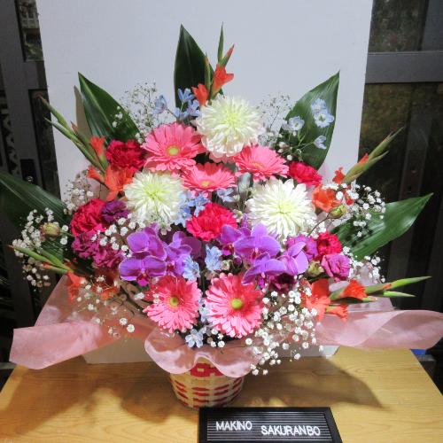 ピンクをメイン!胡蝶蘭を入り!カラフル豪華なアレンジメント」| 花屋