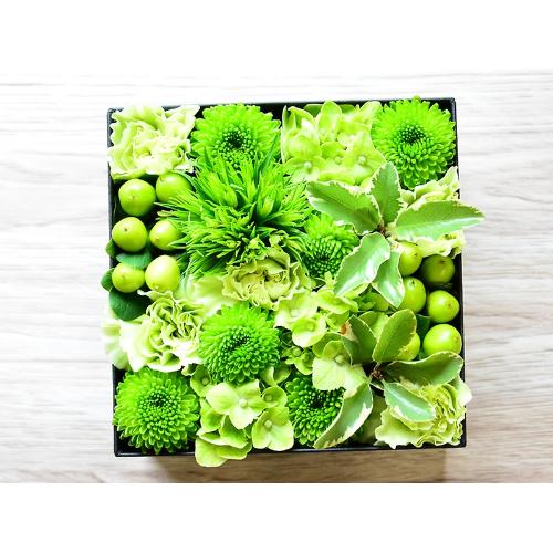 BOXアレンジ（グリーン）」| 花屋「（有）花萌」のオリジナル商品