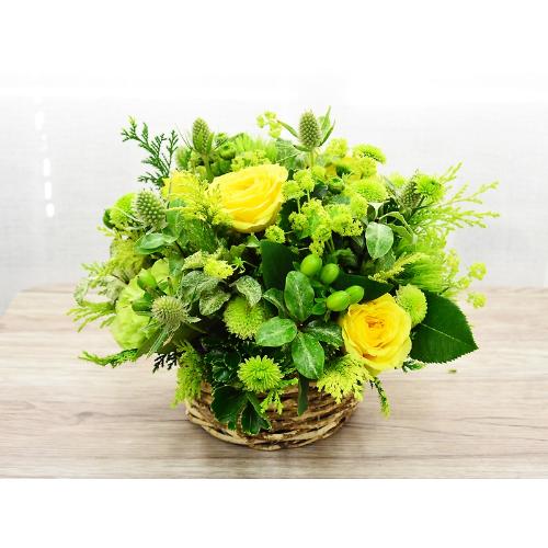ナチュラルグリーン 花屋 有 花萌 のオリジナル商品 フラワーギフトはプロのお花屋さんにおまかせ フジテレビフラワーネット ナチュラルグリーン 花屋 有 花萌 のオリジナル商品 フラワーギフトはプロのお花屋さんにおまかせ フジテレビフラワーネット