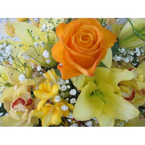 元気の出る黄色アレンジ 花屋 花ユキ のオリジナル商品 フラワーギフトはプロのお花屋さんにおまかせ フジテレビフラワーネット