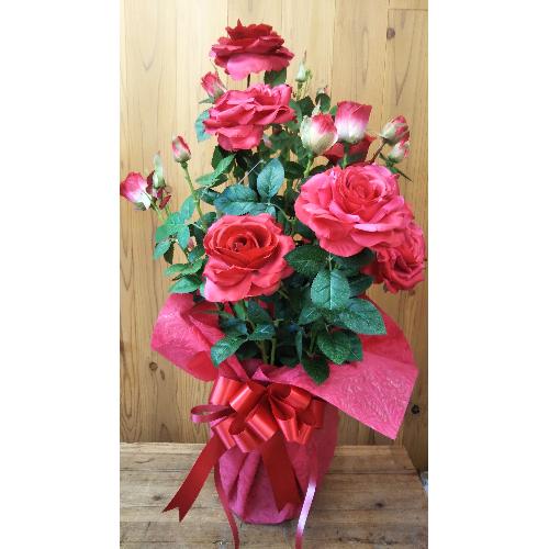 アーティフィシャルフラワー ローズポット 花屋 株 花のマリヤ のオリジナル商品 フラワーギフトはプロのお花屋さんにおまかせ フジテレビ フラワーネット