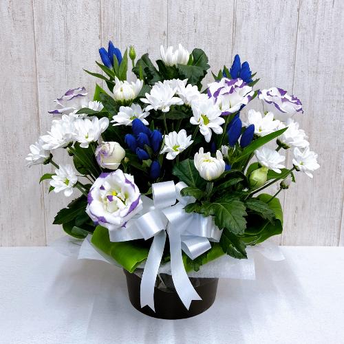 お供え用アレンジメント 菊の花をメインに 花屋 花の店 あん のオリジナル商品 フラワーギフトはプロのお花屋さんにおまかせ フジテレビフラワーネット お供え用アレンジメント 菊の花をメインに 花屋 花の店 あん のオリジナル商品 フラワーギフトはプロのお花屋さんにおまかせ フジテレビフラワーネット