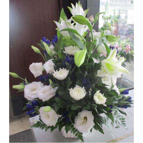 初盆 お供えアレンジメント あさがお おかえりの言葉をお花に添えて 花屋 株 藤野グリーンセンター のオリジナル商品 フラワーギフトはプロのお花屋さんにおまかせ フジテレビフラワーネット