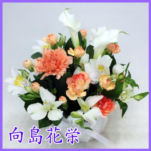 供花 カラーとオレンジカーネーションのお供え花 」| 花屋「向島花栄