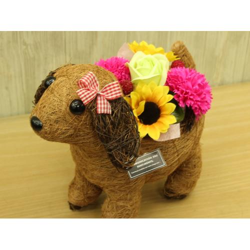 ショコラガールのお散歩 フレグランス＆光触媒」| 花屋「フローリスト