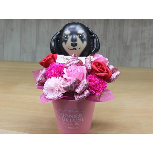ダックスのバルーンとフレグランスフラワーRP」| 花屋「フローリスト萬