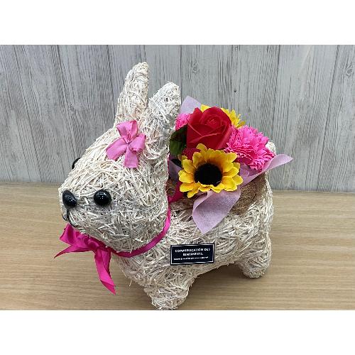 うさぎガールのお散歩 フレグランス＆光触媒」| 花屋「フローリスト萬