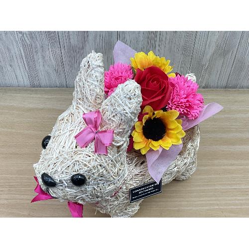 うさぎガールのお散歩 フレグランス＆光触媒」| 花屋「フローリスト萬