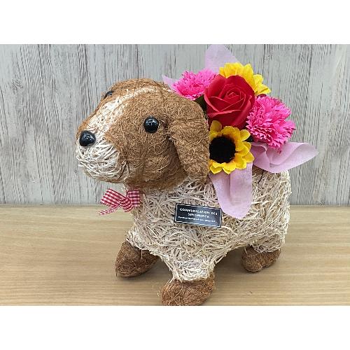 スワロフスキー　Happy flowers　ミディアム　花　超美品　箱有り 犬付 デコ犬のお散歩 フレグランス＆光触媒」| 花屋「フローリスト萬」の