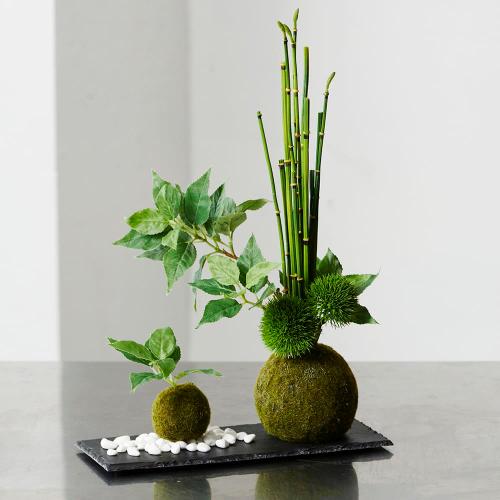 フェイクグリーン Cupbon カップボン 寄植え苔玉 黒岩皿 桜の葉 花屋 フジテレビフラワーネット のオリジナル商品 フラワーギフトはプロのお花屋さんにおまかせ フジテレビフラワーネット