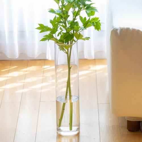 フラワーアレンジメント・花屋向け ガラスシリンダー花瓶セット 花瓶＞ガラスシリンダー スリムタイプ」| 花屋「フジテレビフラワー