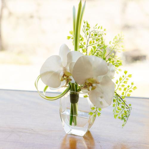 ウォーター入り胡蝶蘭＆グリーンSサイズ＜アーティフィシャル