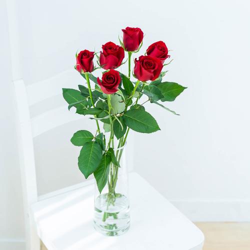 １２月 赤バラ 花屋 フジテレビフラワーネット のオリジナル商品 フラワーギフトはプロのお花屋さんにおまかせ フジテレビフラワーネット