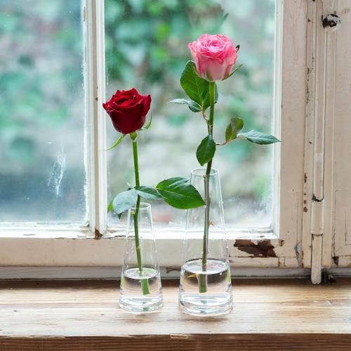 花瓶＞トールドットベース2種セット」| 花屋「フジテレビフラワー  