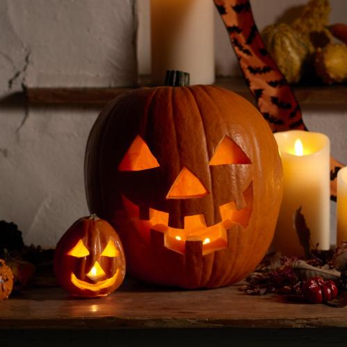 わが家の手づくり ハロウィーンかぼちゃ ジャック オ ランタン 花屋 フジテレビフラワーネット のオリジナル商品 フラワーギフトはプロのお花屋さんにおまかせ フジテレビフラワーネット