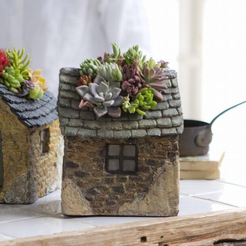 多肉のおうち（ブラウン）」| 花屋「フジテレビフラワーネット」の