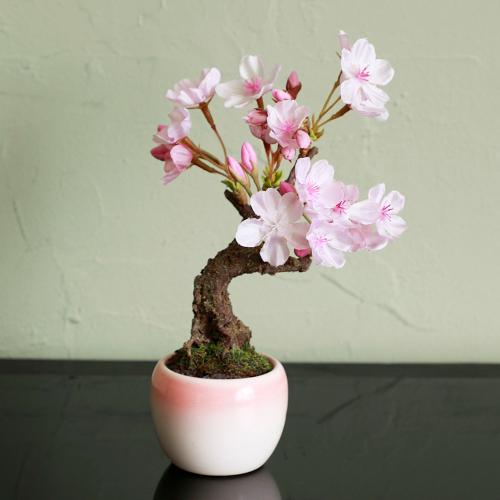 クラフト盆栽「桜」」| 花屋「フジテレビフラワーネット」のオリジナル