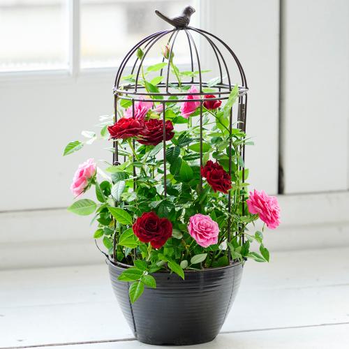花薔薇のレースの卓上パーテーションミニ3連 即日☆【造花】アスカ/ミニローズブッシュ×12 ホワイト/A-31446-1 - 花