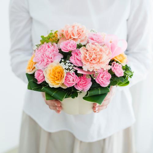 ハートフルカーネーション アプリコット フラワーギフトはプロのお花屋さんにおまかせ フジテレビフラワーネット ハートフルカーネーション アプリコット フラワーギフトはプロのお花屋さんにおまかせ フジテレビフラワーネット