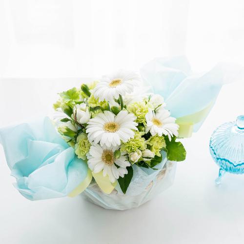 バラとガーベラのキャンディアレンジ ホワイト系 フラワーギフトはプロのお花屋さんにおまかせ フジテレビフラワーネット バラとガーベラのキャンディアレンジ ホワイト系 フラワーギフトはプロのお花屋さんにおまかせ フジテレビフラワーネット