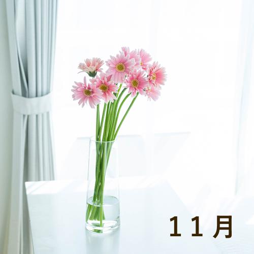 12ケ月の定期便 旬のお花が毎月届く 11月スタート フラワーギフトはプロのお花屋さんにおまかせ フジテレビフラワーネット